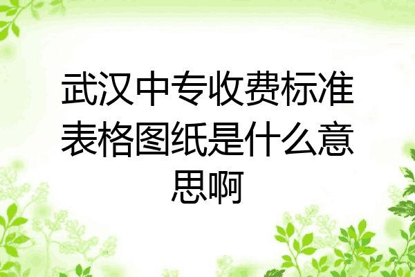 武汉中专收费标准表格图纸是什么意思啊