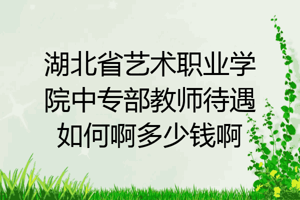 湖北省艺术职业学院中专部教师待遇如何啊多少钱啊