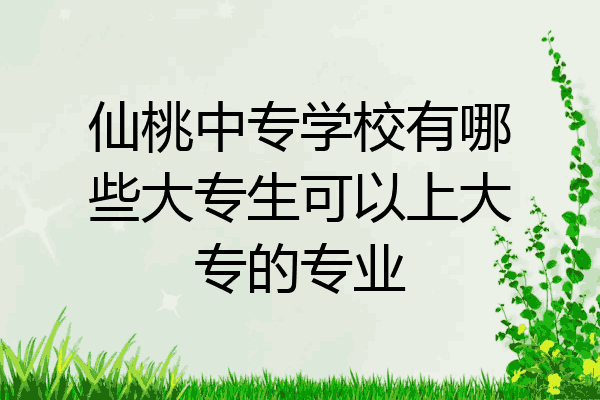 仙桃中专学校有哪些大专生可以上大专的专业