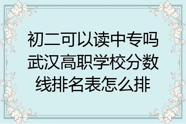 初二可以读中专吗武汉高职学校分数线排名表怎么排