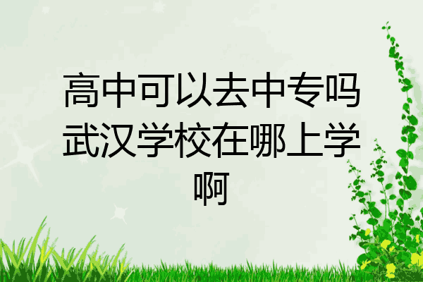 高中可以去中专吗武汉学校在哪上学啊
