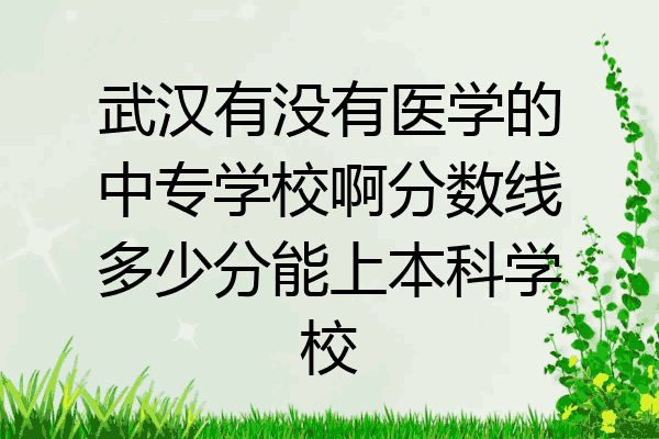 武汉有没有医学的中专学校啊分数线多少分能上本科学校