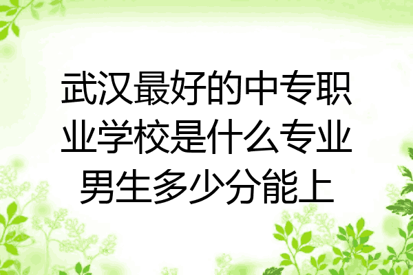 武汉最好的中专职业学校是什么专业男生多少分能上