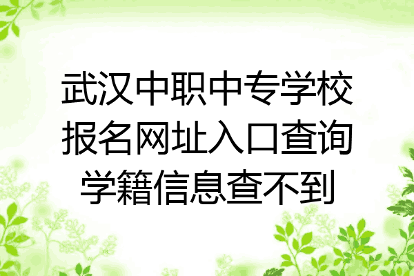 武汉中职中专学校报名网址入口查询学籍信息查不到