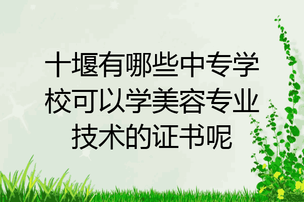 十堰有哪些中专学校可以学美容专业技术的证书呢