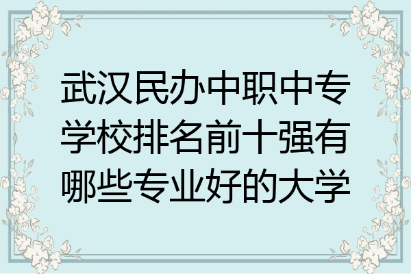 武汉民办中职中专学校排名前十强有哪些专业好的大学