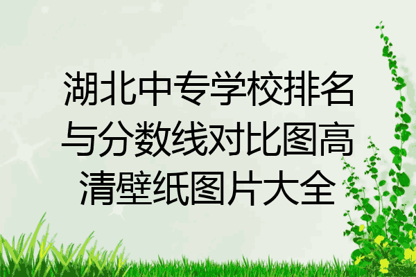湖北中专学校排名与分数线对比图高清壁纸图片大全