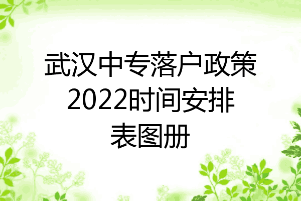 武汉中专落户政策2022时间安排表图册