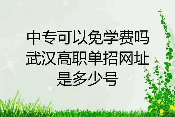 中专可以免学费吗武汉高职单招网址是多少号