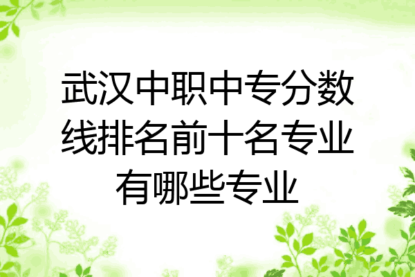 武汉中职中专分数线排名前十名专业有哪些专业