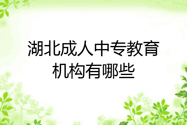 湖北成人中专教育机构有哪些