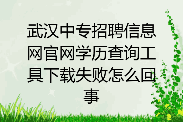 武汉中专招聘信息网官网学历查询工具下载失败怎么回事