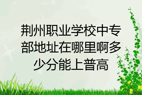 荆州职业学校中专部地址在哪里啊多少分能上普高