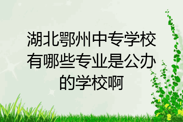 湖北鄂州中专学校有哪些专业是公办的学校啊