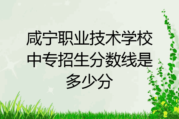 咸宁职业技术学校中专招生分数线是多少分