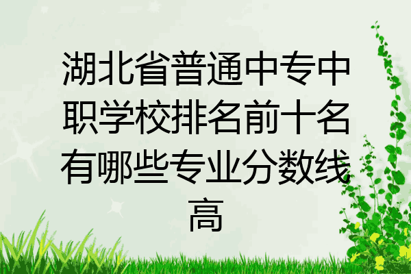 湖北省普通中专中职学校排名前十名有哪些专业分数线高