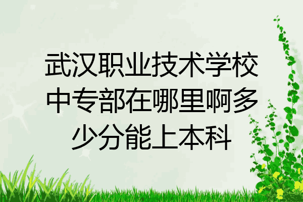 武汉职业技术学校中专部在哪里啊多少分能上本科
