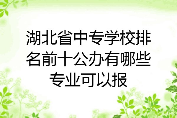 湖北省中专学校排名前十公办有哪些专业可以报