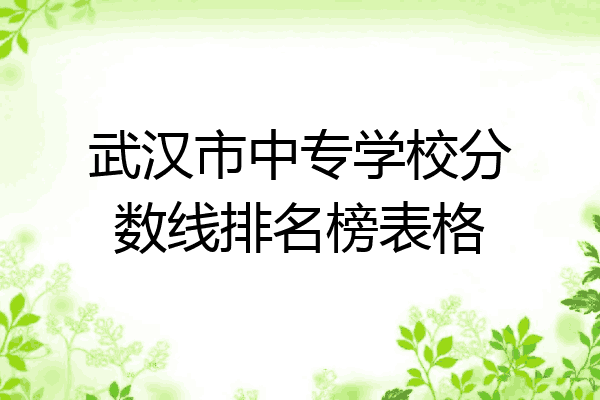 武汉市中专学校分数线排名榜表格