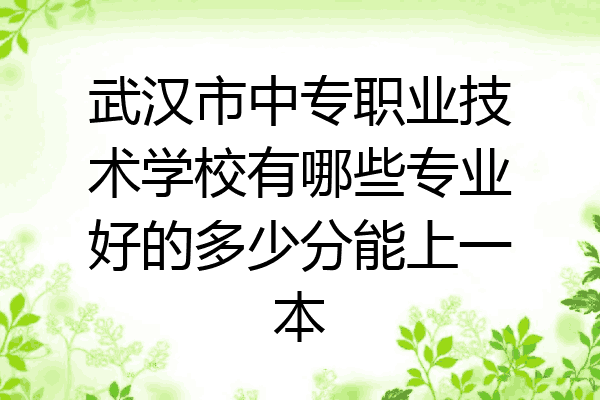 武汉市中专职业技术学校有哪些专业好的多少分能上一本