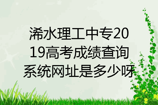 浠水理工中专2019高考成绩查询系统网址是多少呀