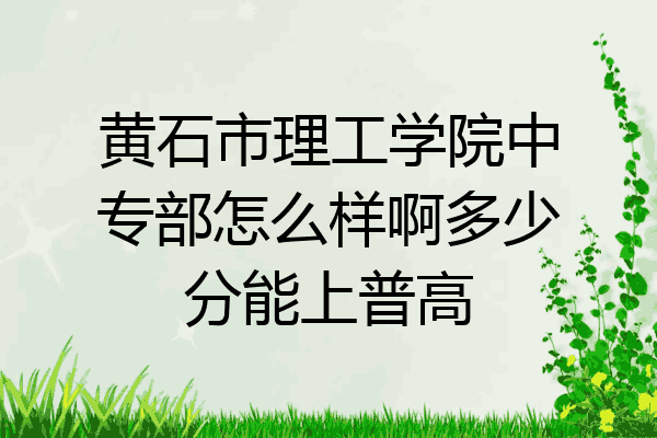 黄石市理工学院中专部怎么样啊多少分能上普高