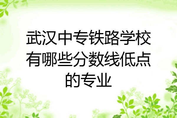 武汉中专铁路学校有哪些分数线低点的专业