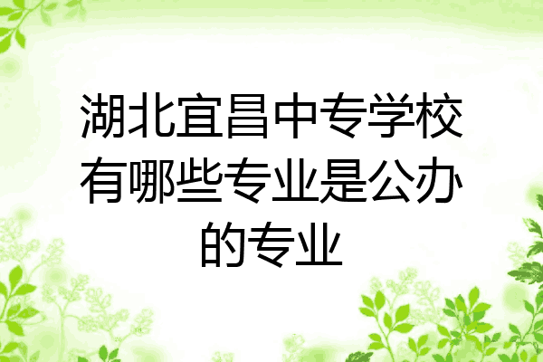 湖北宜昌中专学校有哪些专业是公办的专业