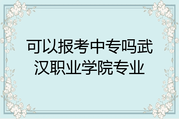 可以报考中专吗武汉职业学院专业