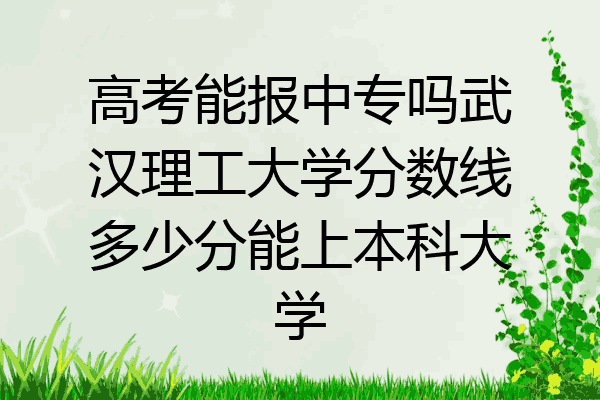 高考能报中专吗武汉理工大学分数线多少分能上本科大学