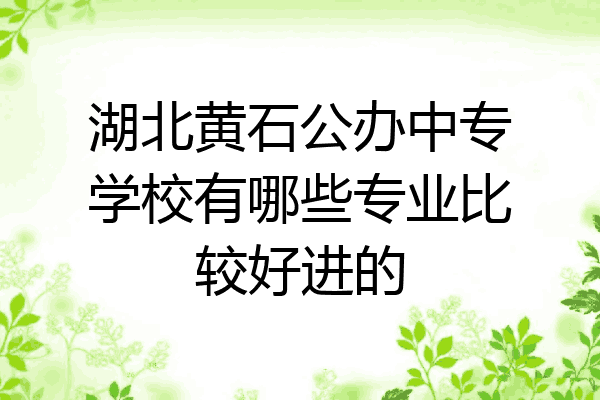 湖北黄石公办中专学校有哪些专业比较好进的