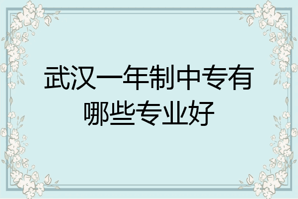武汉一年制中专有哪些专业好