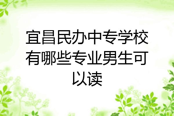 宜昌民办中专学校有哪些专业男生可以读