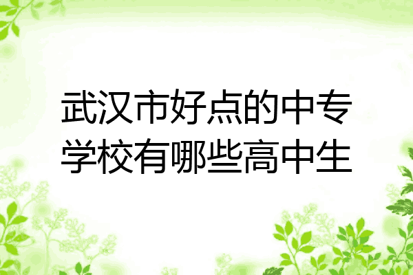 武汉市好点的中专学校有哪些高中生