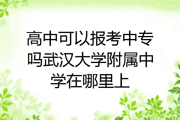 高中可以报考中专吗武汉大学附属中学在哪里上