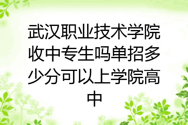 武汉职业技术学院收中专生吗单招多少分可以上学院高中