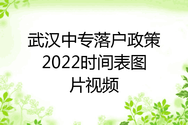 武汉中专落户政策2022时间表图片视频