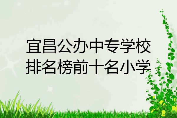 宜昌公办中专学校排名榜前十名小学