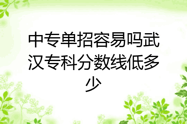 中专单招容易吗武汉专科分数线低多少