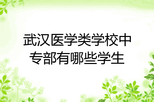 武汉医学类学校中专部有哪些学生