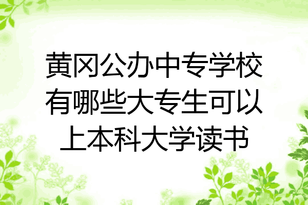 黄冈公办中专学校有哪些大专生可以上本科大学读书