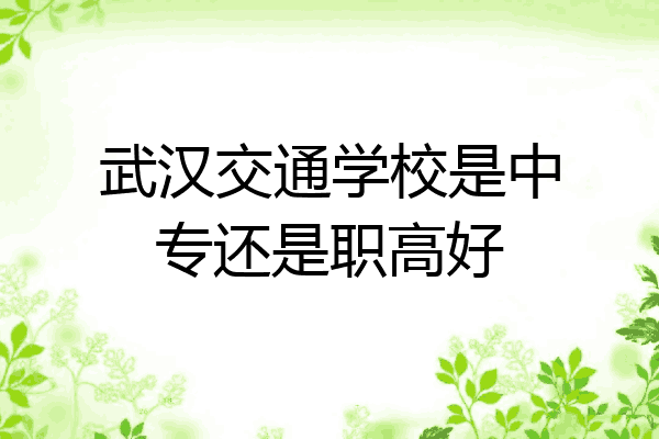 武汉交通学校是中专还是职高好