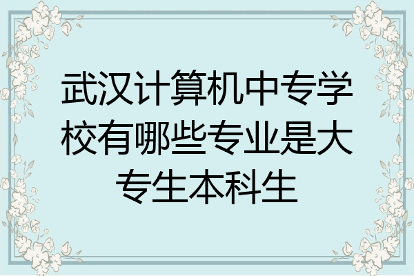 武汉计算机中专学校有哪些专业是大专生本科生