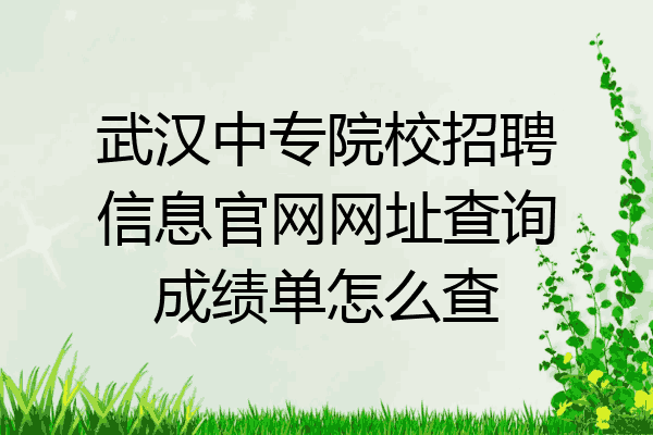 武汉中专院校招聘信息官网网址查询成绩单怎么查