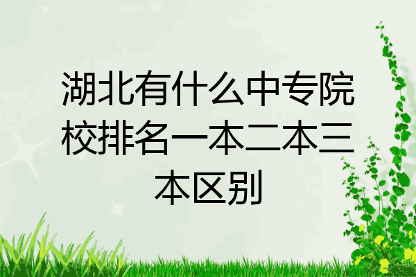 湖北有什么中专院校排名一本二本三本区别