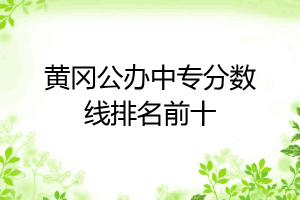黄冈公办中专分数线排名前十