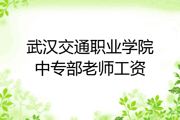 武汉交通职业学院中专部老师工资
