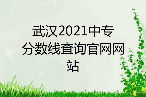 武汉2021中专分数线查询官网网站