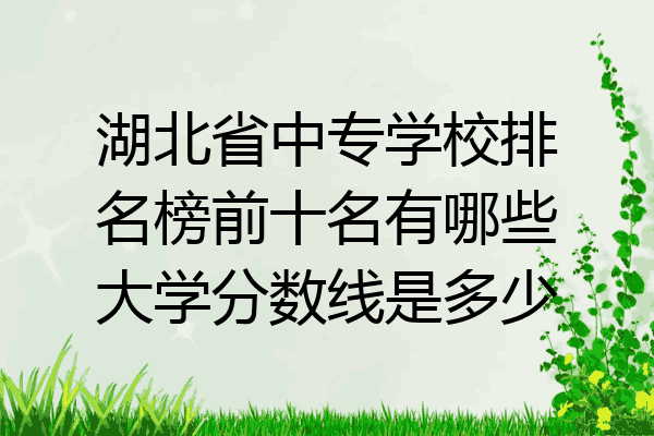 湖北省中专学校排名榜前十名有哪些大学分数线是多少
