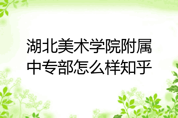湖北美术学院附属中专部怎么样知乎